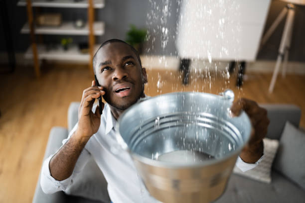 Reliable Valmeyer, IL Water damage restoration Solutions
