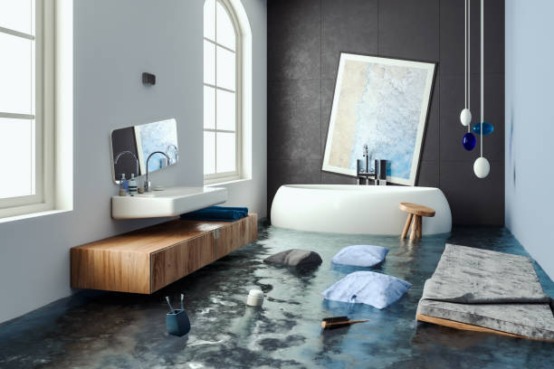 Best Flood restoration services  in Valmeyer, IL
