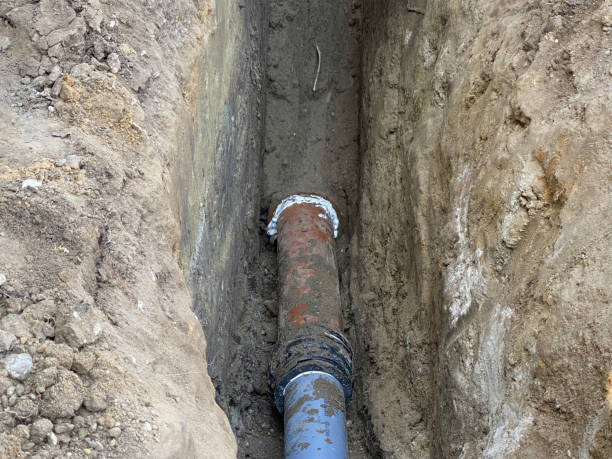 Best Basement water damage restoration  in Valmeyer, IL