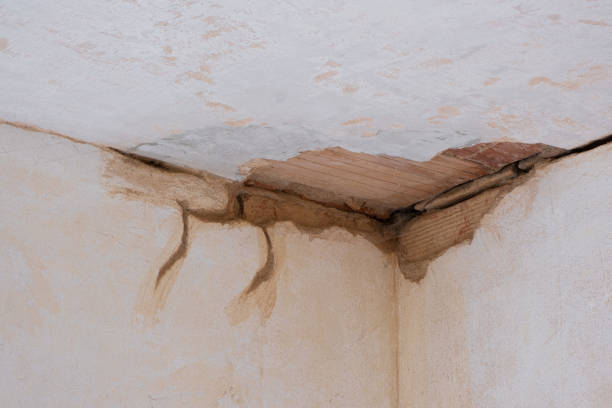 Best Ceiling water damage repair  in Valmeyer, IL