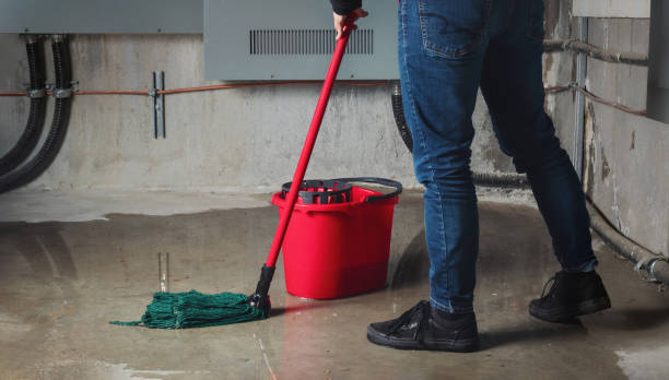 Best 24-hour water damage restoration  in Valmeyer, IL