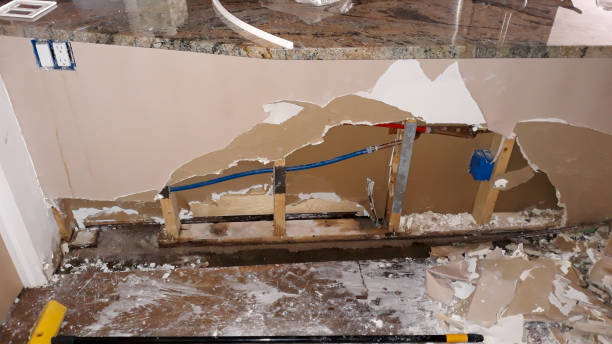 Best Flood damage cleanup  in Valmeyer, IL