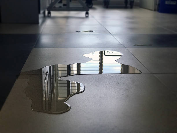 24/7 water damage repair in Valmeyer, IL