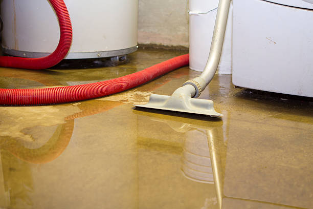 Best Carpet water damage restoration  in Valmeyer, IL