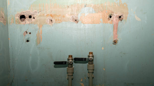 Best Residential water damage restoration  in Valmeyer, IL