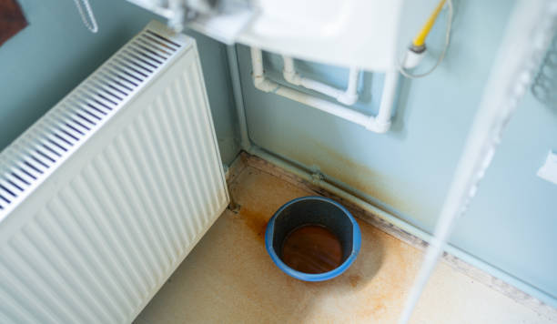  Valmeyer, IL Water damage restoration Pros