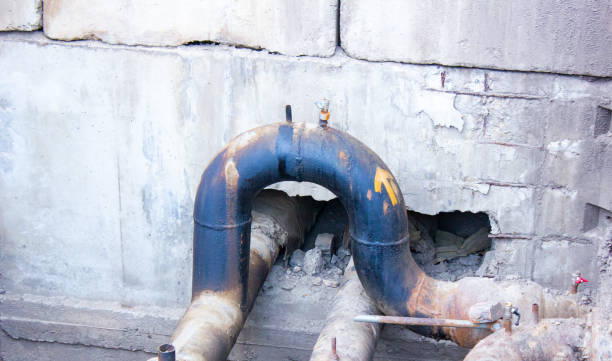 Best Flooded house restoration  in Valmeyer, IL