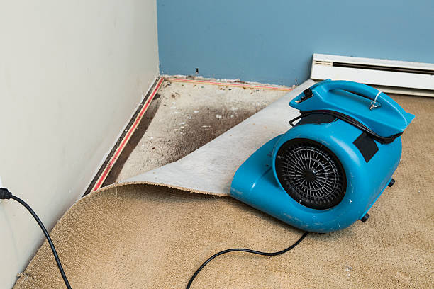 Best Emergency water damage restoration  in Valmeyer, IL